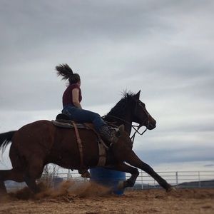 Meet your Posher, Cheyenne